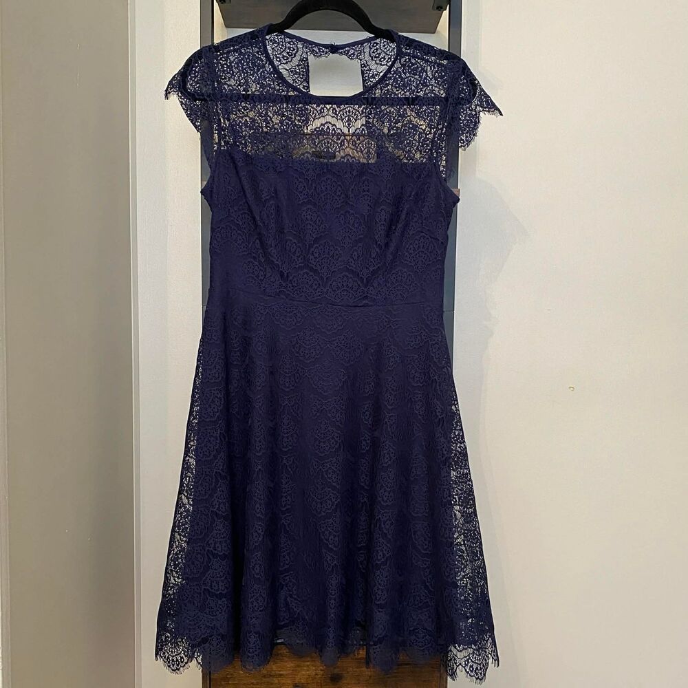 Kensie Lace Fit & Flare Blue Cap Sleeve Scalloped Hem Size 6 Cocktail Dress
